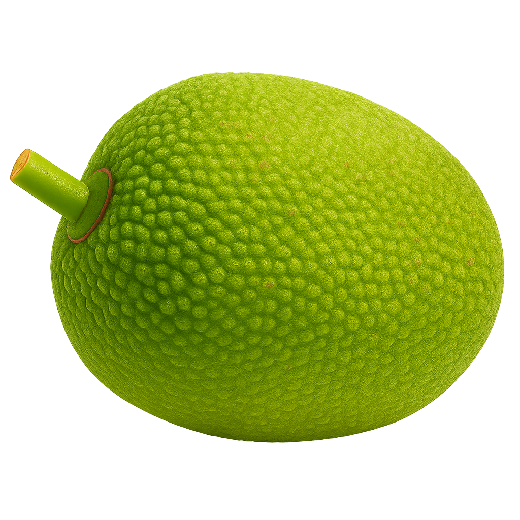 Jackfruit